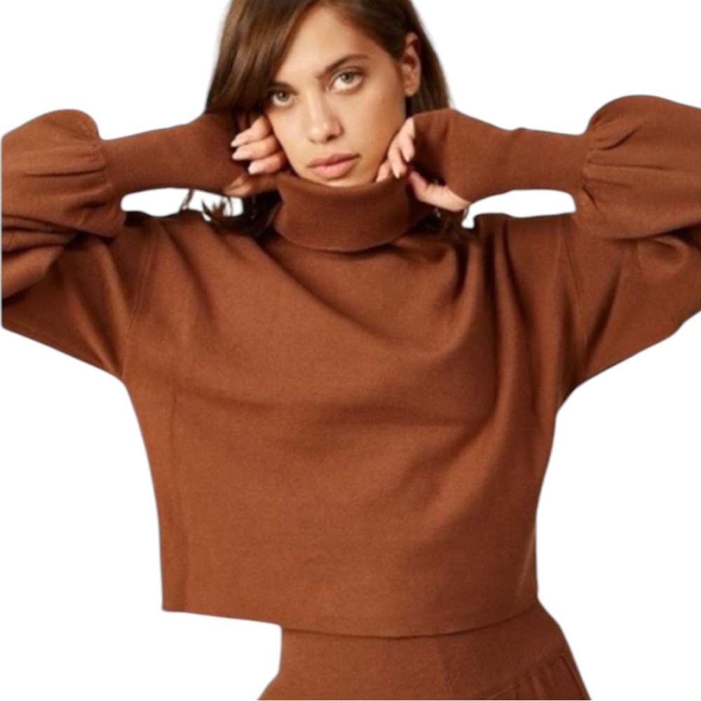 Silk & Salt Brown Cropped Turtleneck Sweater Size XL